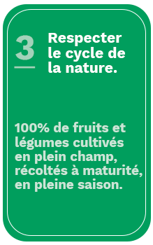 legumes-fruits-saison